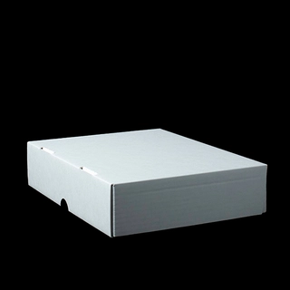 Magasineske, syrefri, 1/4 G, lav Innvendige mål: 313 x 232 x70 mm