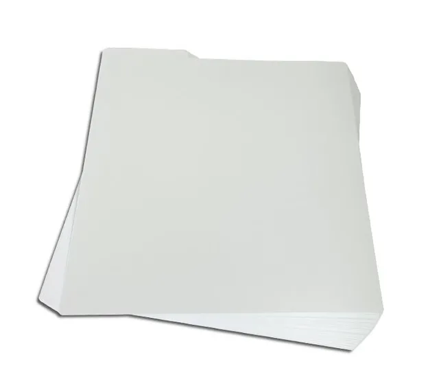 Register i hvit plast for 12" plater 