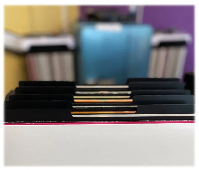 Register i sort plast for 12" plater 