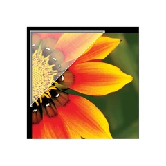 Lineco fotohjørner, 3,5 cm Polyester, 240 stk