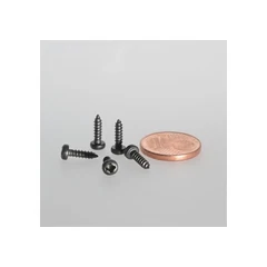 Temart skrue, sort, 2,9 x 6,5 mm 250 stk