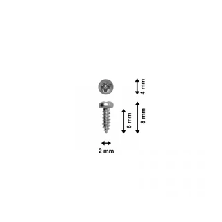 Skruer, panhead, forzinket, 2 x 6 mm 100 stk