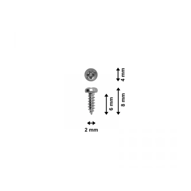 Skruer, panhead, forzinket, 2 x 6 mm 100 stk 