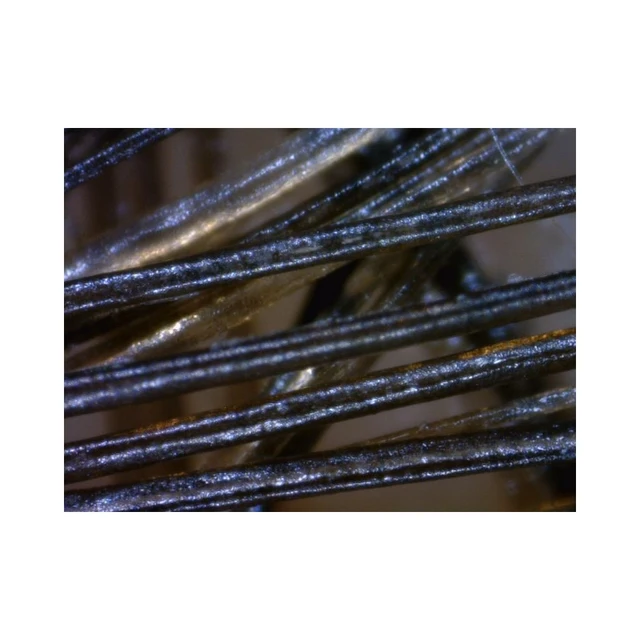 Dino-Lite TrichoScope 1,3Mpx 10-70 & 200x, POLA 