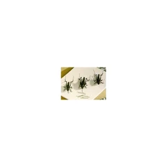 Entomology pins, 0,53 x 38 mm, blank rustfritt stål. 500-pk